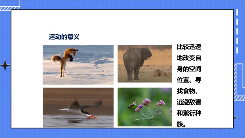 济南版生物七上 2.3 《动物的运动》   课件+教案+练习+视频03