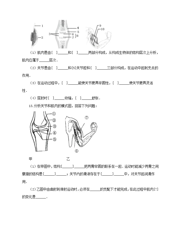 济南版生物七上 2.3 《动物的运动》   课件+教案+练习+视频03