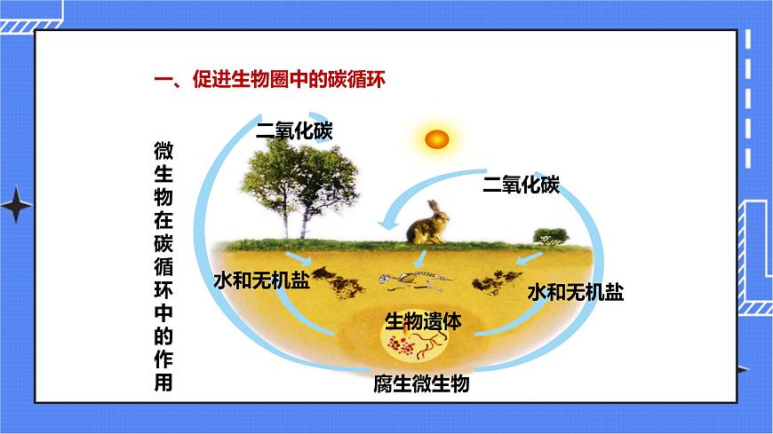 第二單元第三章第四節(jié) 《微生物在生物圈中的作用》(課件)第6頁