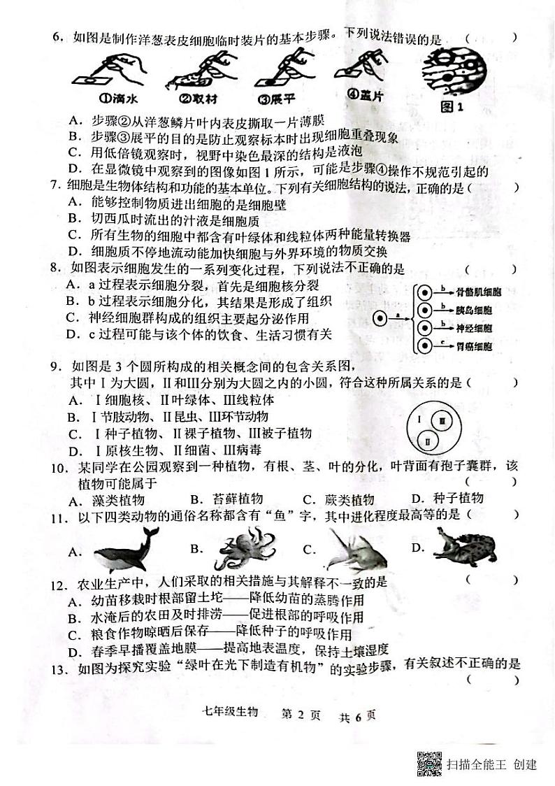 2022--2023学年上学期山东省菏泽市牡丹区七年级期末生物试题02