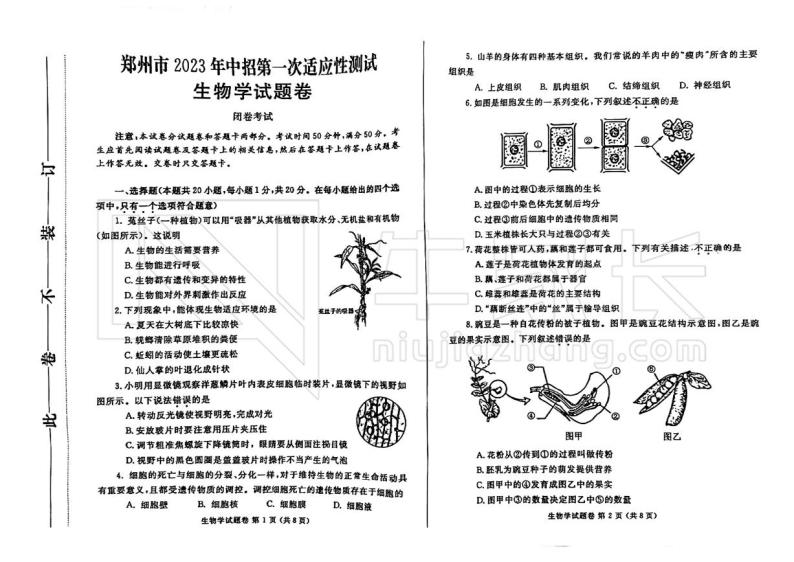 2022-2023学年河南省郑州市一模生物试题及答案01