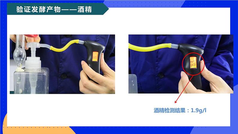 5.4.5《人类对细菌和真菌的利用》课件+教案+习题07