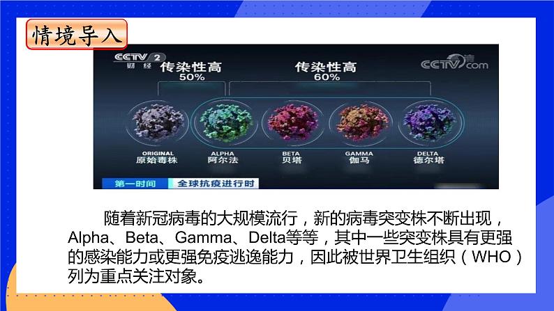 病毒-课件第4页