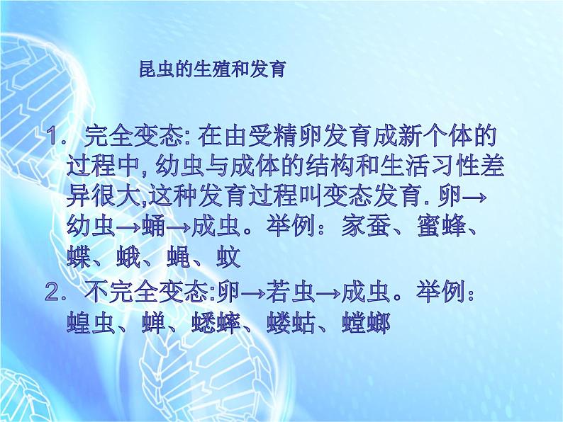 人教版八年级下册生物复习分册梳理课件(人教版)04