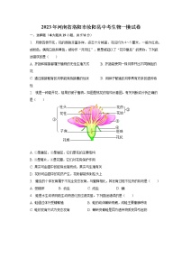 2023年河南省洛阳市汝阳县中考生物一模试卷（含解析）
