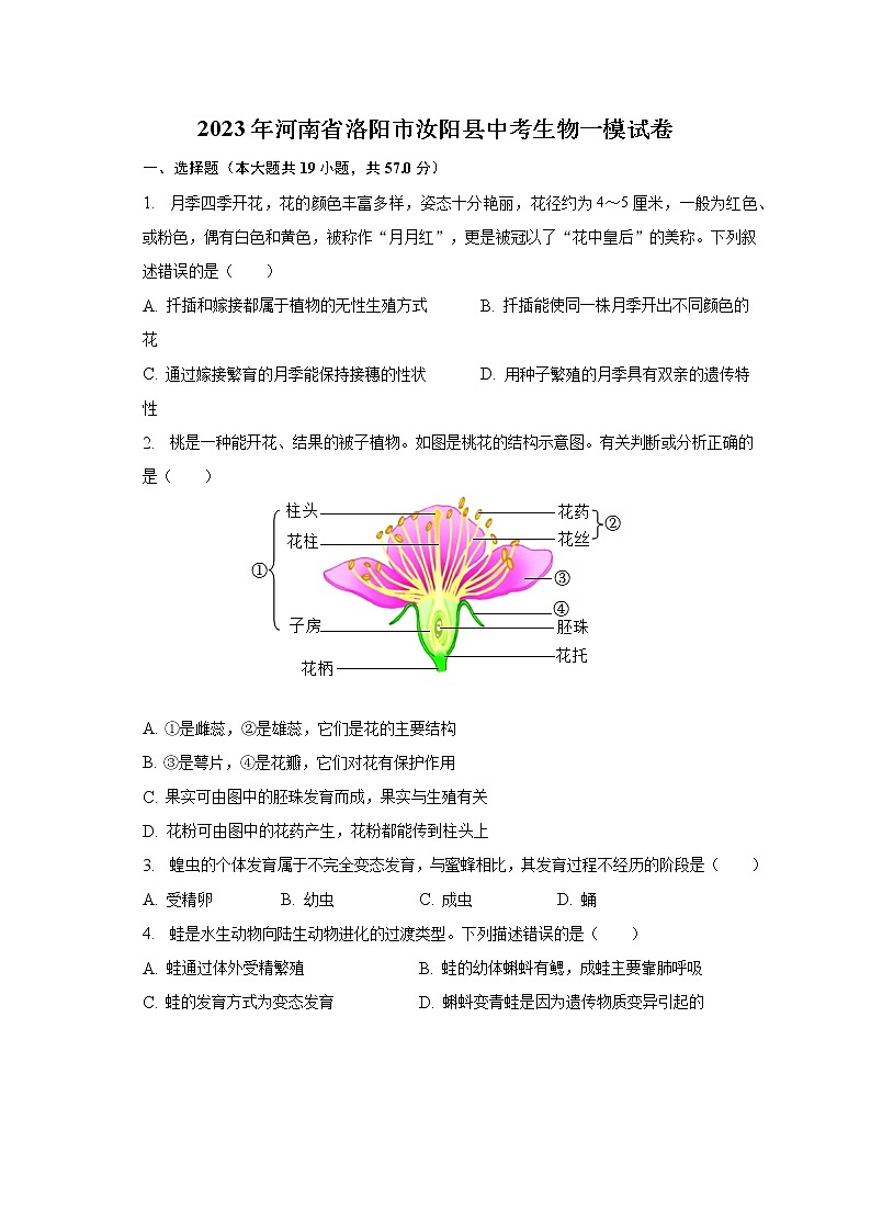 2023年河南省洛陽市汝陽縣中考生物一模試卷（含解析）第1頁