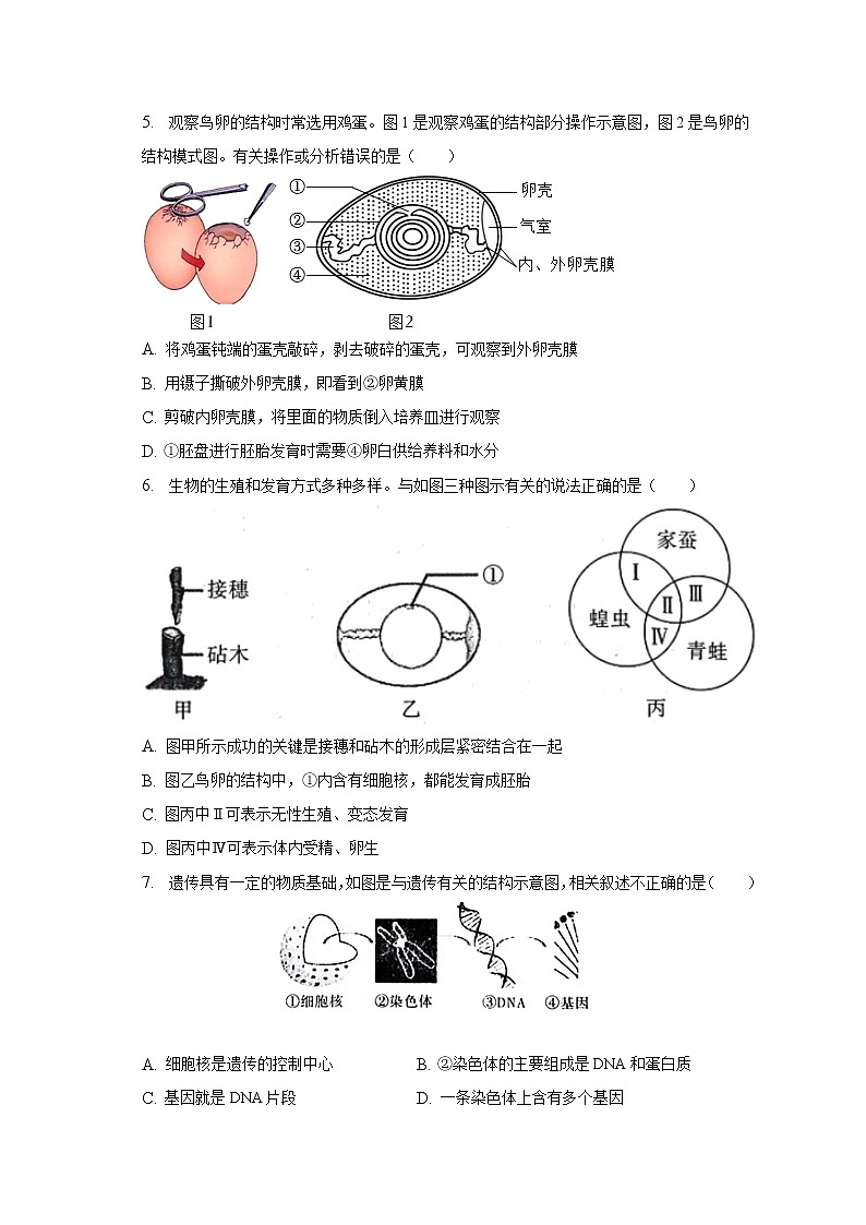 2023年河南省洛陽市汝陽縣中考生物一模試卷（含解析）第2頁