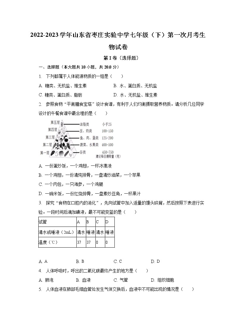 2022-2023学年山东省枣庄实验中学七年级（下）第一次月考生物试卷（含解析）01