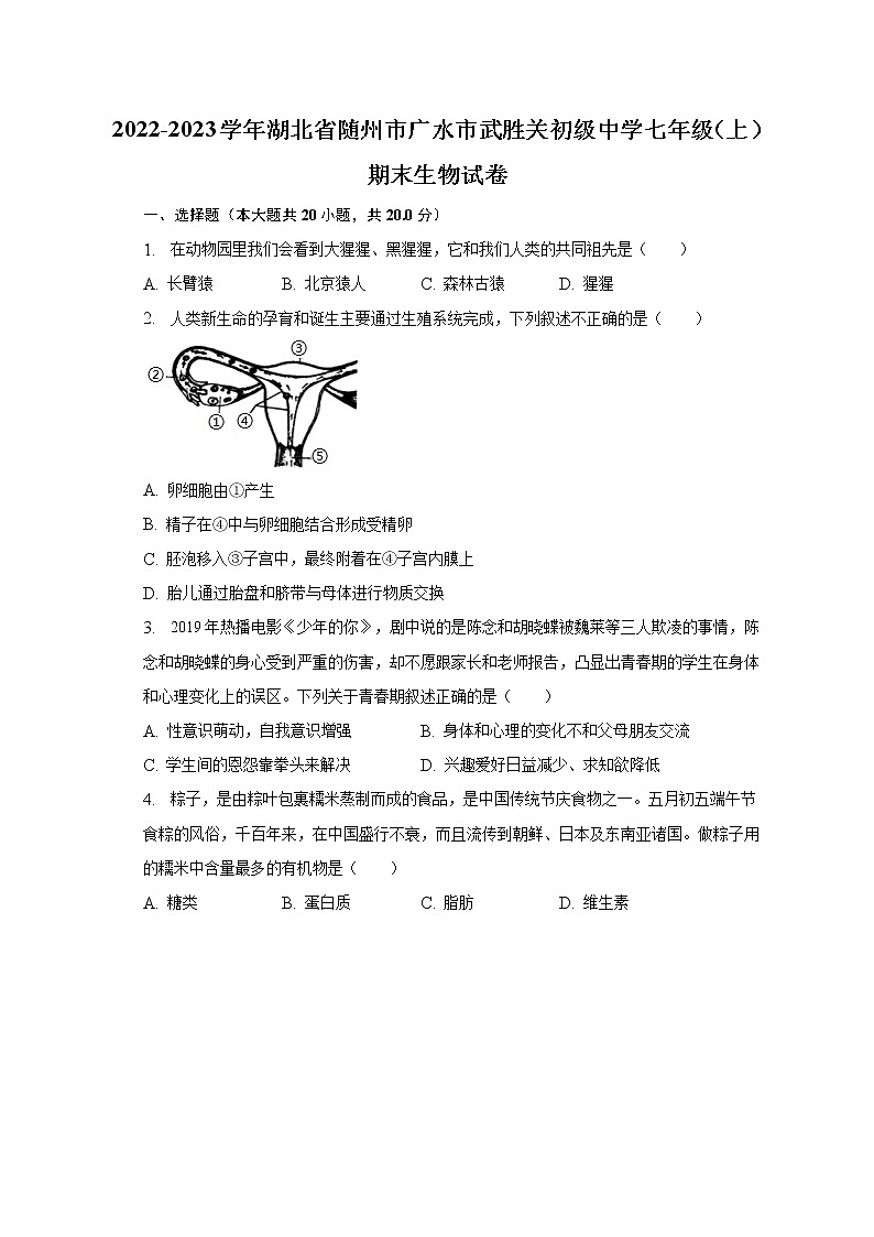 2022-2023学年湖北省随州市广水市武胜关初级中学七年级(上)期末生物试卷(含解析)第1页