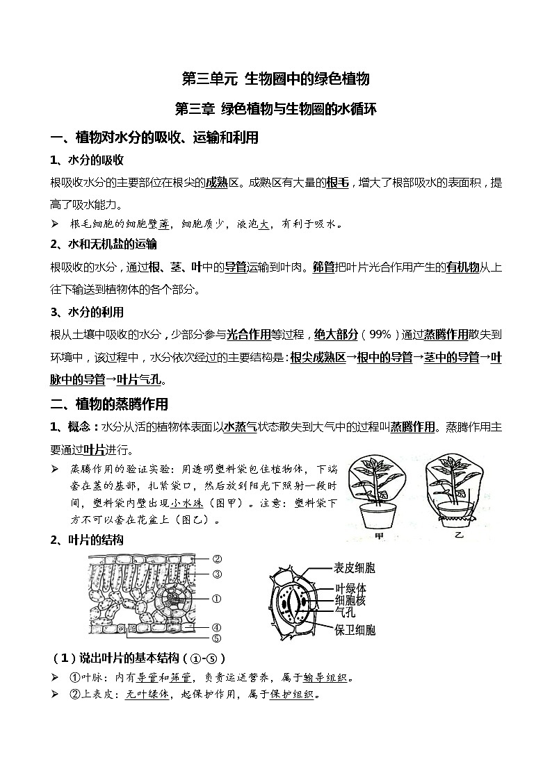 初中生物中考复习 05+绿色植物的三大作用-2022年中考生物一轮复习核心考点必背知识清单第1页