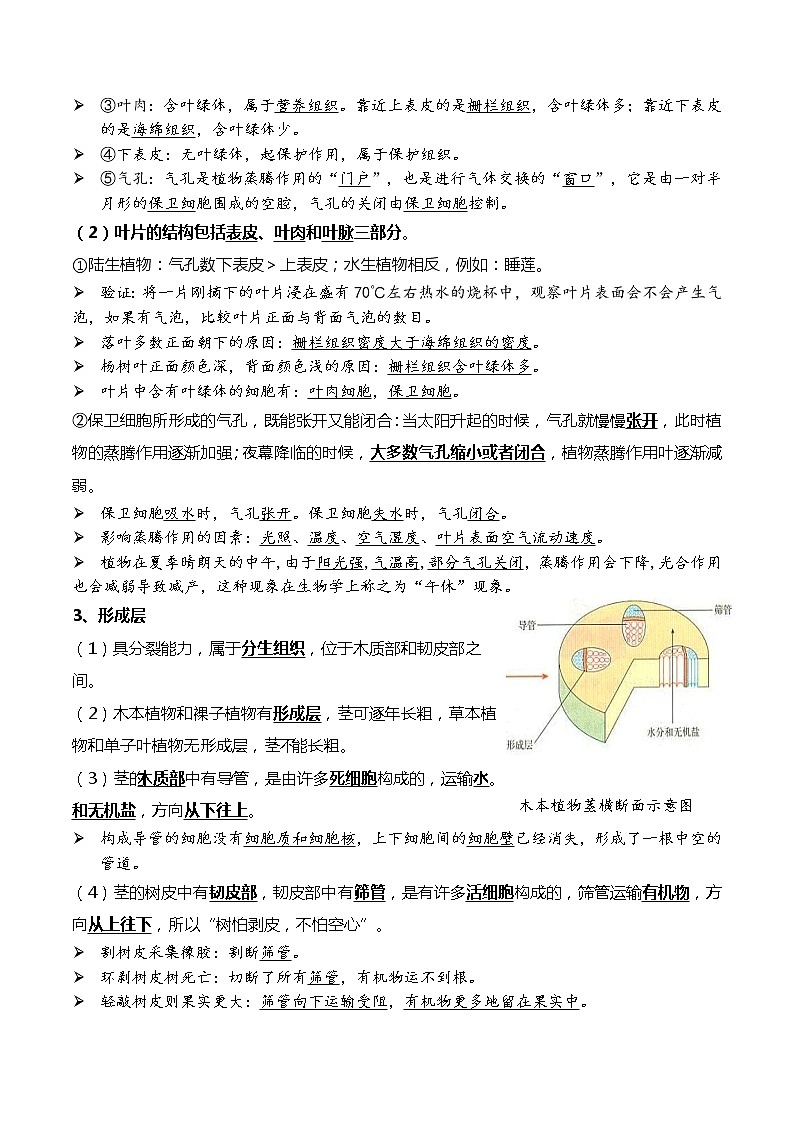 初中生物中考复习 05+绿色植物的三大作用-2022年中考生物一轮复习核心考点必背知识清单第2页