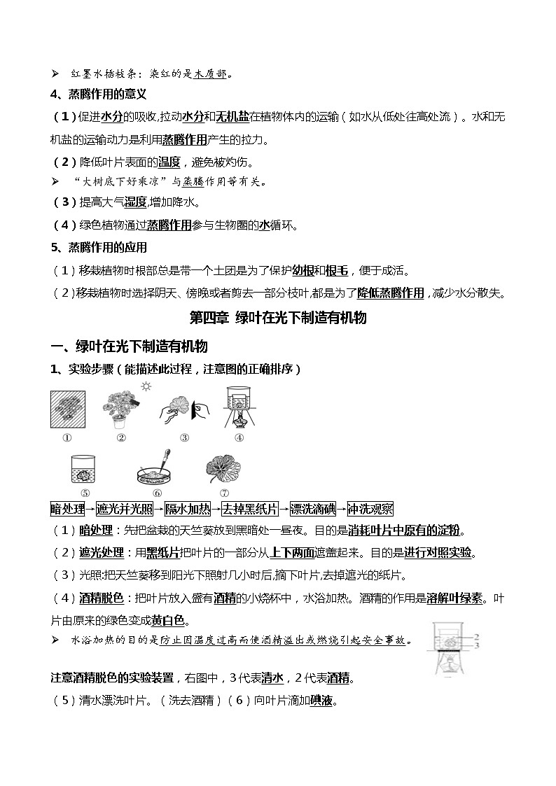 初中生物中考复习 05+绿色植物的三大作用-2022年中考生物一轮复习核心考点必背知识清单第3页