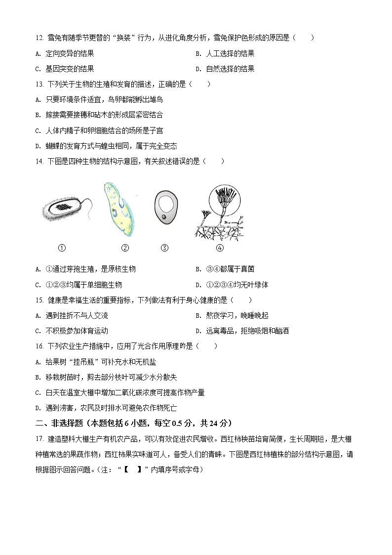 初中生物中考复习 精品解析:2022年辽宁省盘锦市中考生物真题(原卷版)第3页