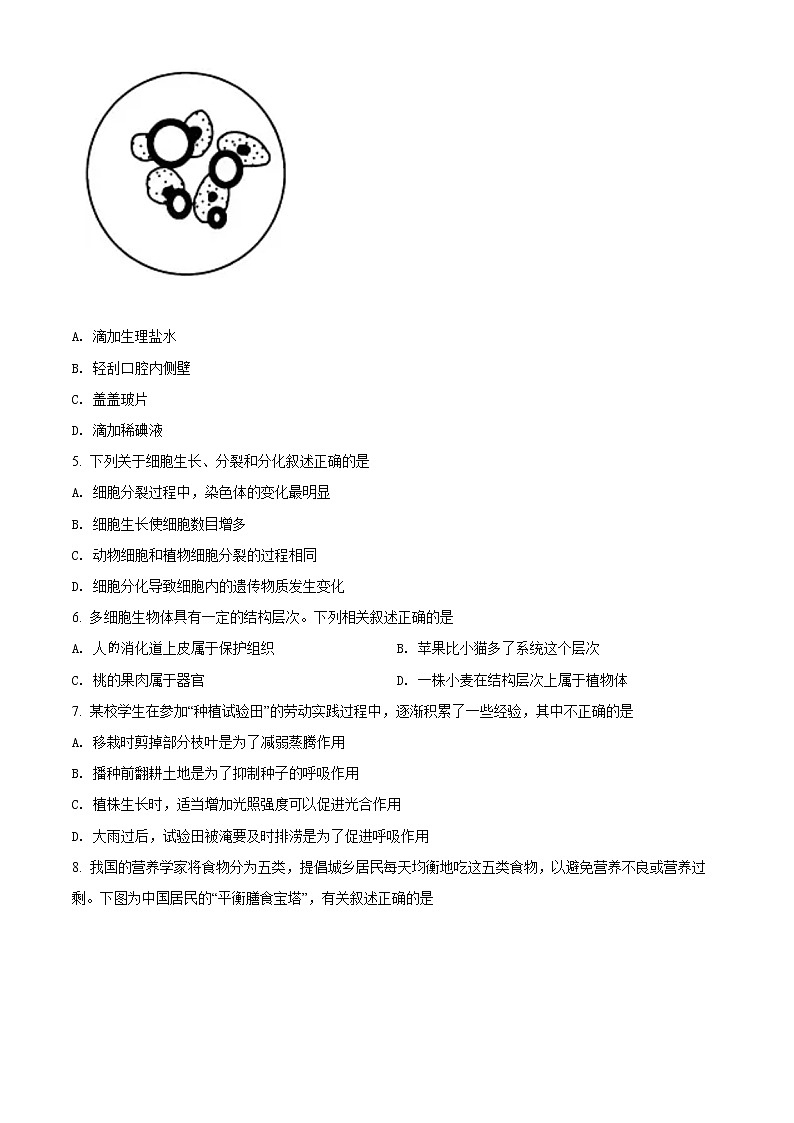 初中生物中考复习 精品解析:2022年辽宁省营口市中考生物真题(原卷版)第2页
