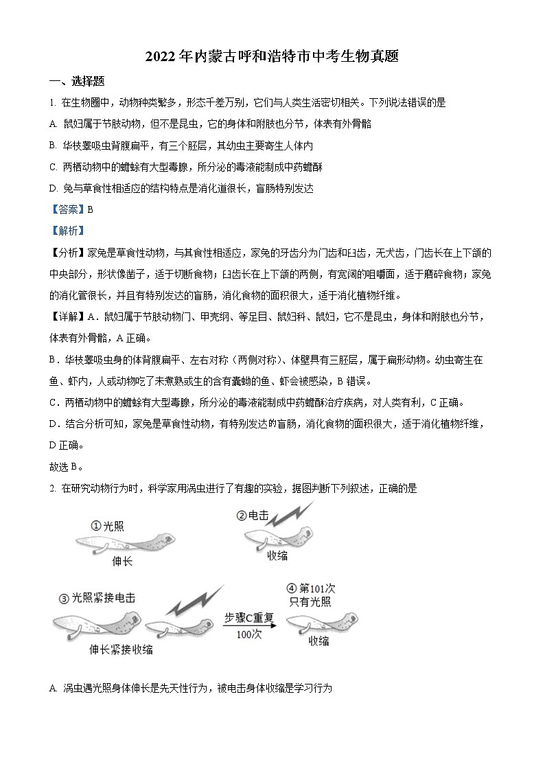 初中生物中考复习 精品解析:2022年内蒙古呼和浩特市中考生物真题(解析版)01