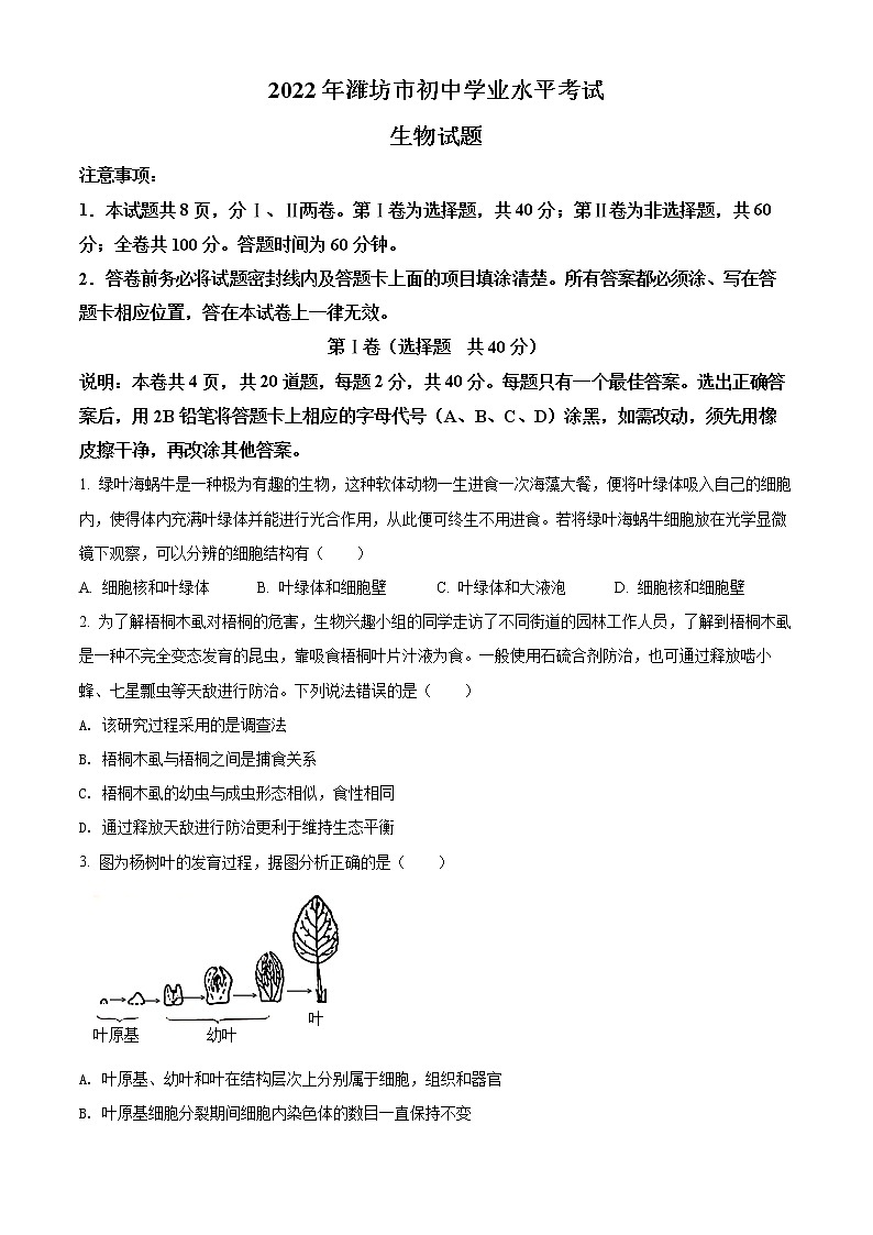 初中生物中考复习 精品解析:2022年山东省潍坊市中考生物真题(原卷版)01