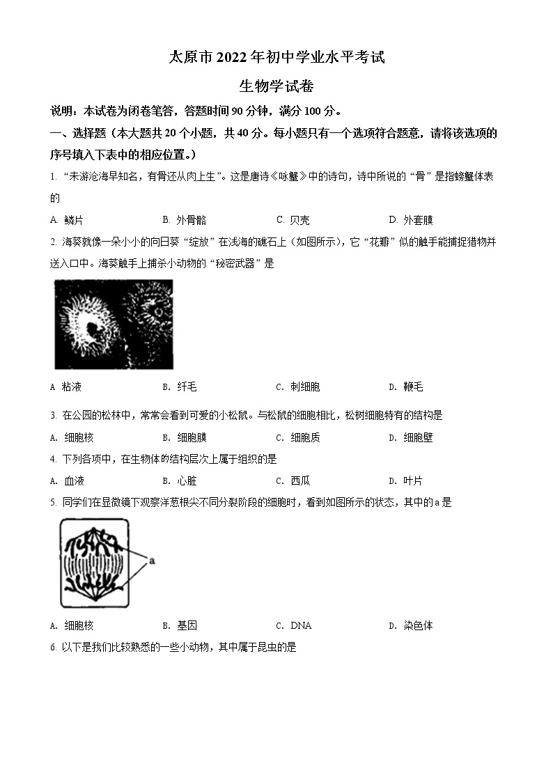 初中生物中考复习 精品解析：2022年山西省太原市学业水平测试生物真题（原卷版）01