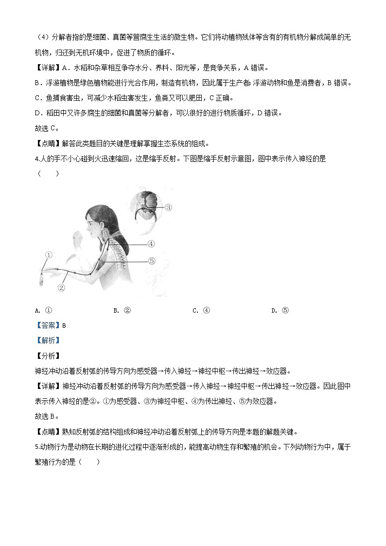 初中生物中考复习 精品解析:安徽省2020年中考试题(解析版)第3页