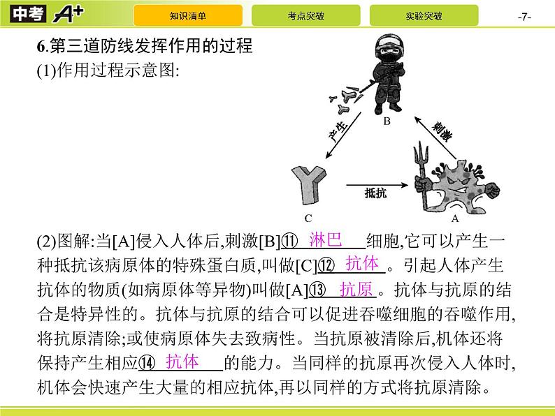 初中生物中考复习 第8单元 健康地生活课件PPT07