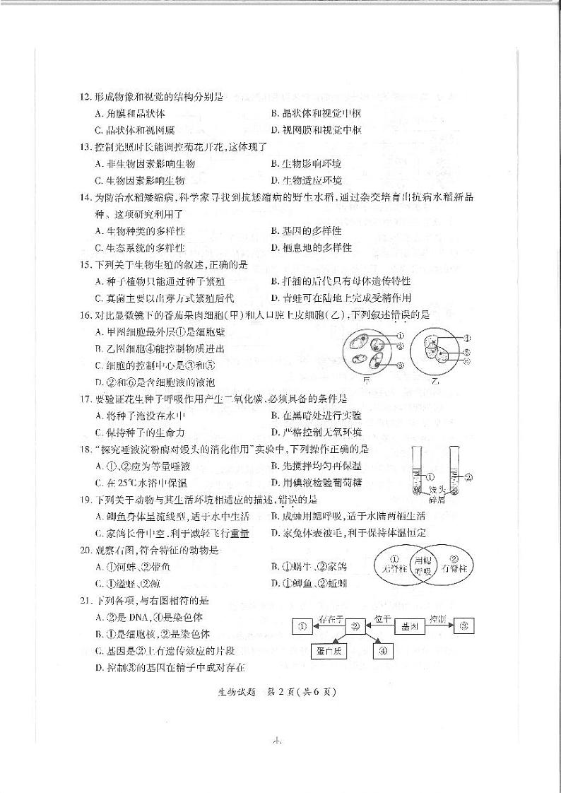 初中生物中考复习 福建省厦门市2019年中考生物质检模拟试卷(pdf) (1)第2页