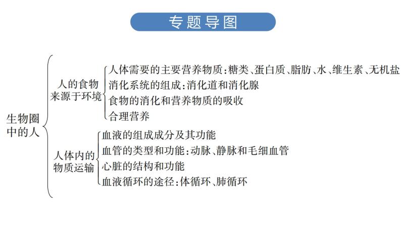 中考生物总复习第3部分 专题6　生物圈中的人课件03