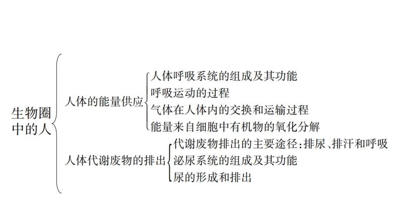 中考生物总复习第3部分 专题6　生物圈中的人课件04