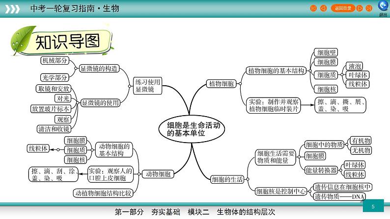 备战2023年中考生物一轮复习精讲 专题03 细胞是生命活动的基本单位-【复习指南】课件PPT第5页