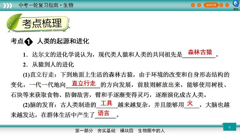 备战2023年中考生物一轮复习精讲 专题10 人的由来-【复习指南】课件PPT第6页
