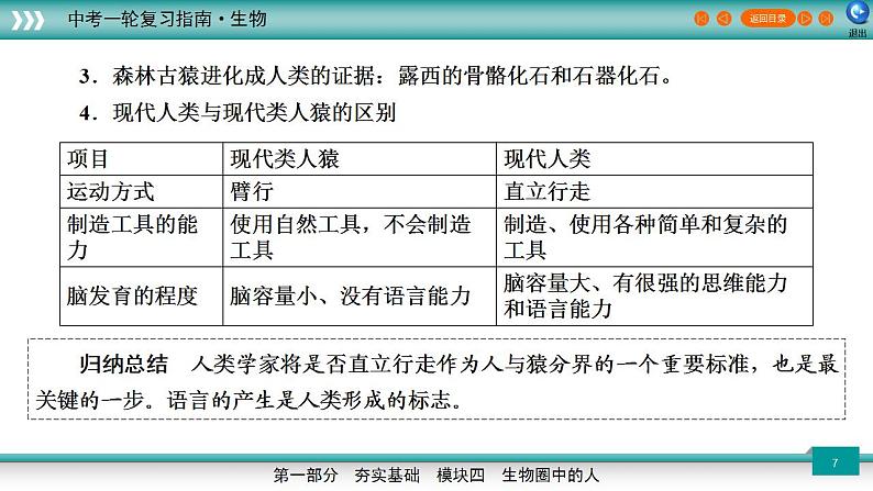 备战2023年中考生物一轮复习精讲 专题10 人的由来-【复习指南】课件PPT第7页