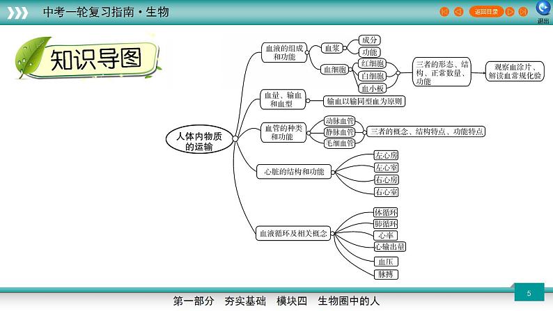 备战2023年中考生物一轮复习精讲 专题13 人体内物质的运输-【复习指南】课件PPT第5页