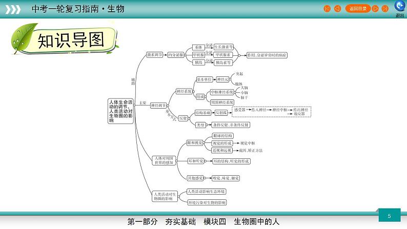 备战2023年中考生物一轮复习精讲 专题15 人体生命活动的调节、人类活动对生物圈的影响-【复习指南】课件PPT第5页