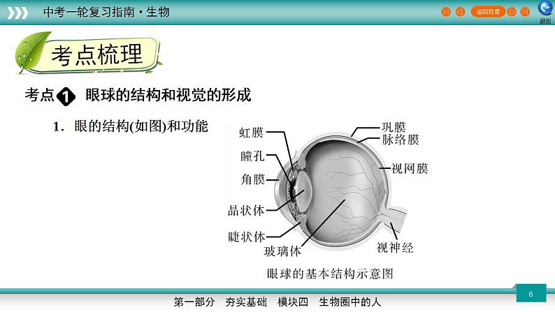 备战2023年中考生物一轮复习精讲 专题15 人体生命活动的调节、人类活动对生物圈的影响-【复习指南】课件PPT第6页