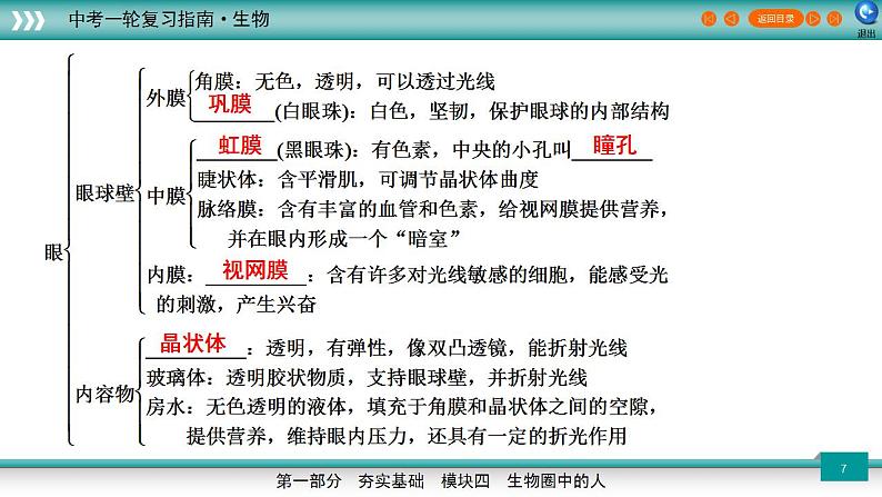 备战2023年中考生物一轮复习精讲 专题15 人体生命活动的调节、人类活动对生物圈的影响-【复习指南】课件PPT第7页