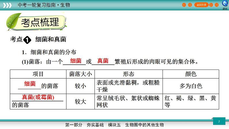 备战2023年中考生物一轮复习精讲 专题18 细菌、真菌和病毒-【复习指南】课件PPT第7页