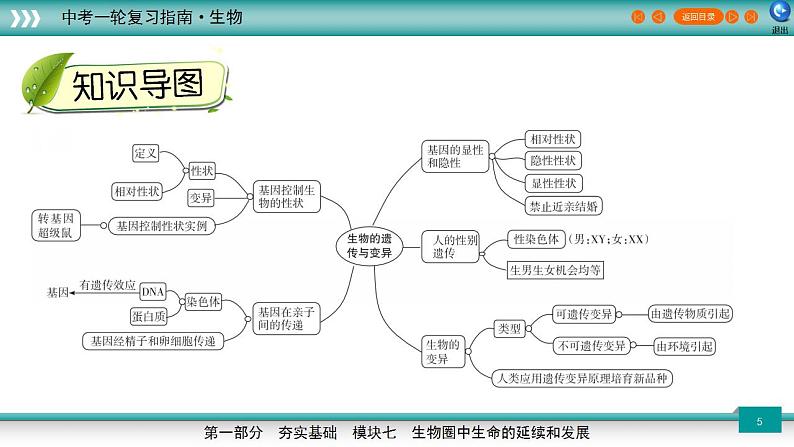 备战2023年中考生物一轮复习精讲 专题21 生物的遗传与变异-【复习指南】课件PPT第5页