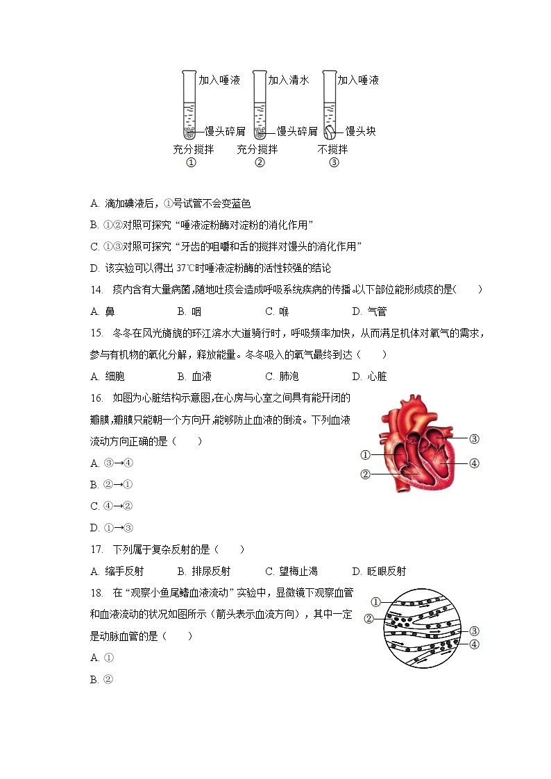 2022-2023学年广西南宁市兴宁区天桃实验学校八年级（上）开学生物试卷（含解析）03