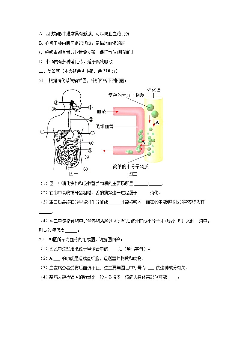 2022-2023學年河南省安陽市林州市七年級（下）月考生物試卷（3月份）（含解析）第3頁