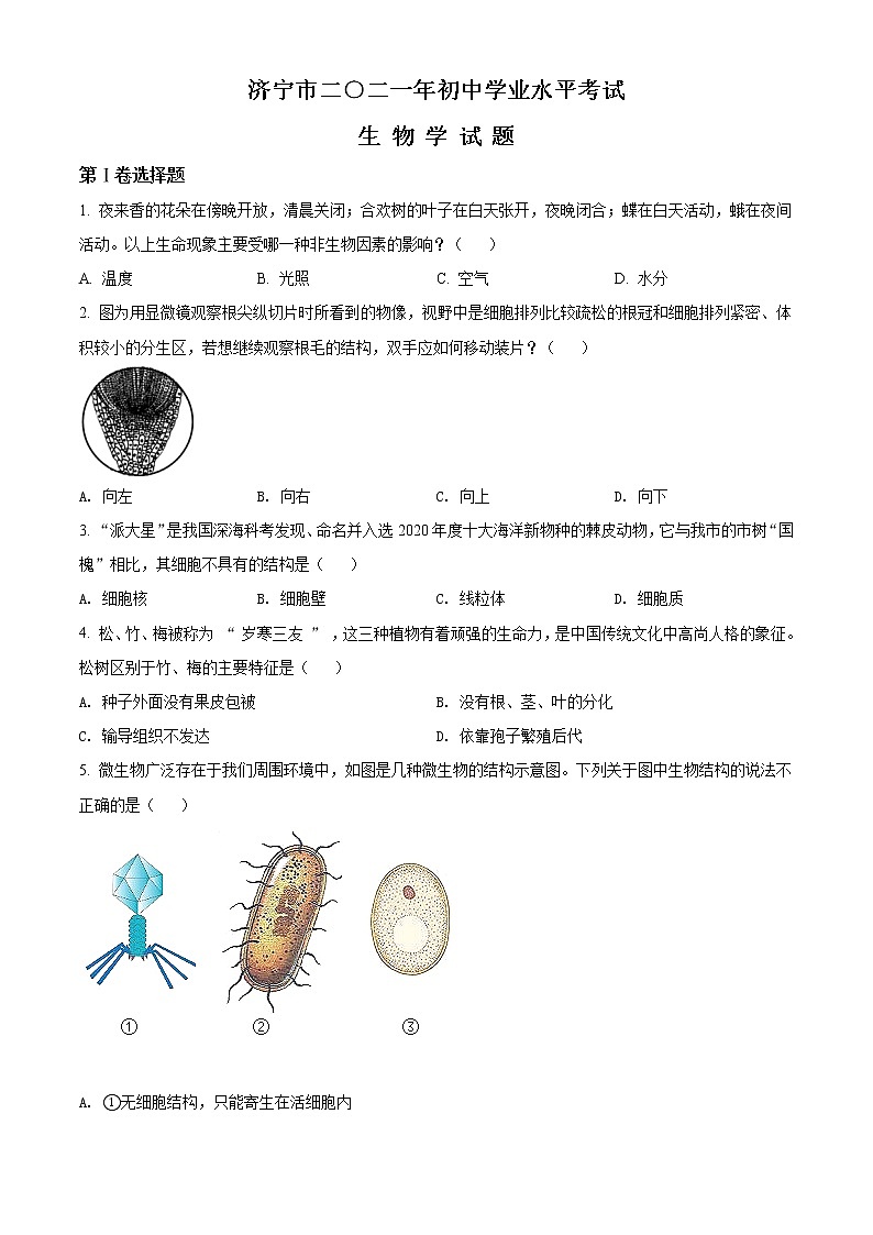 初中生物中考复习 精品解析:山东省济宁市2021年中考生物试题(原卷版)01