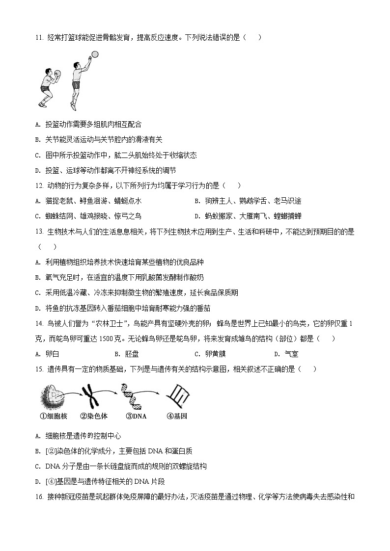 初中生物中考复习 精品解析:山东省济宁市2021年中考生物试题(原卷版)03