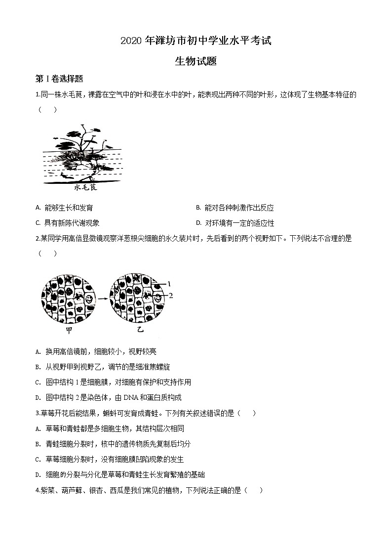 初中生物中考复习 精品解析:山东省潍坊市2020年中考生物试题(原卷版)01