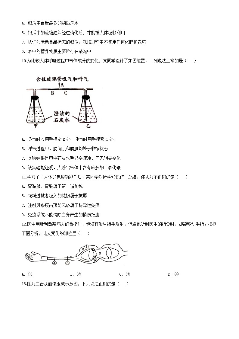 初中生物中考复习 精品解析:山东省潍坊市2020年中考生物试题(原卷版)03