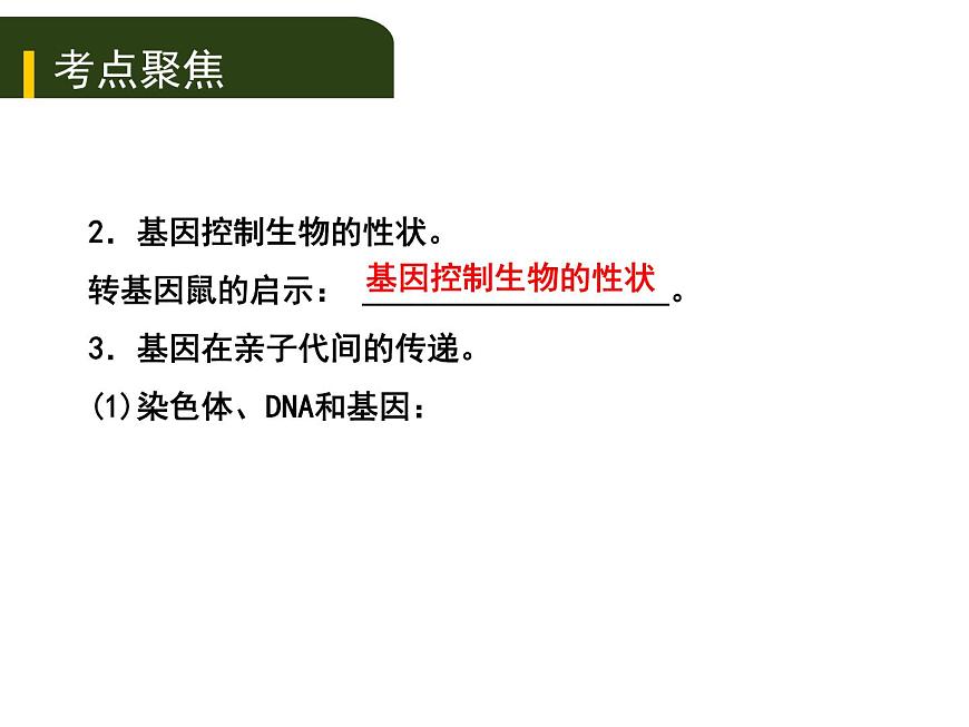 初中生物中考復習 七、（三）生物的遺傳和變異課件PPT第2頁