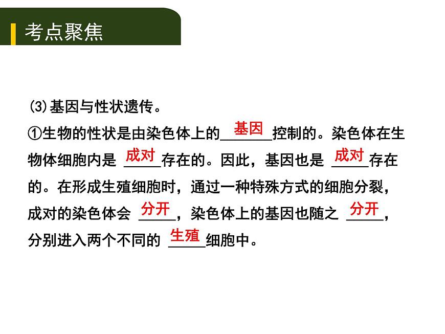 初中生物中考復習 七、（三）生物的遺傳和變異課件PPT第4頁