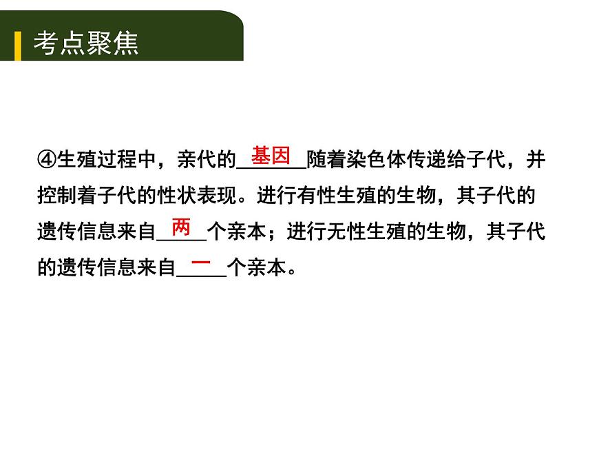初中生物中考復習 七、（三）生物的遺傳和變異課件PPT第6頁
