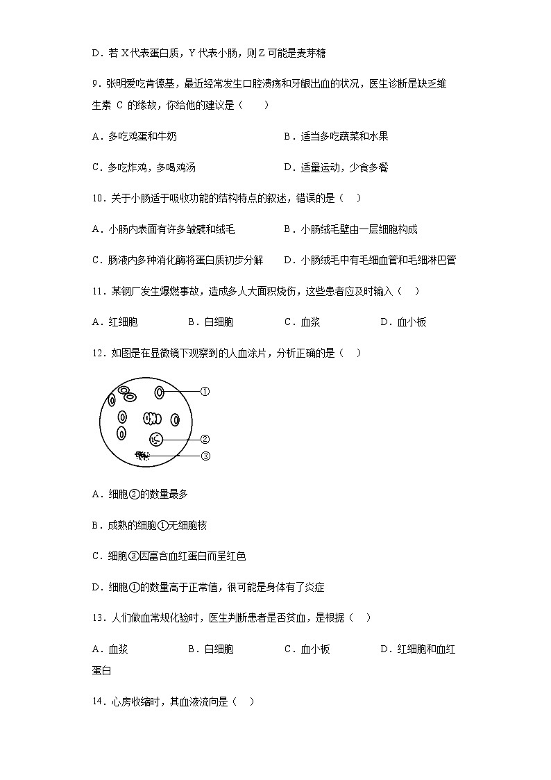 重庆市长寿实验中学校2022-2023学年七年级下学期期中生物试题03