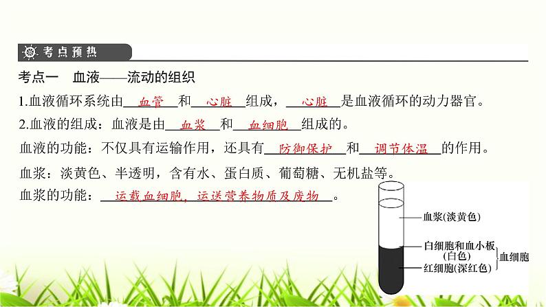 中考生物复习第9章人体内的物质运输课件第4页