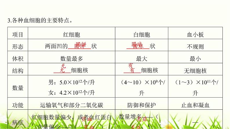 中考生物复习第9章人体内的物质运输课件第5页