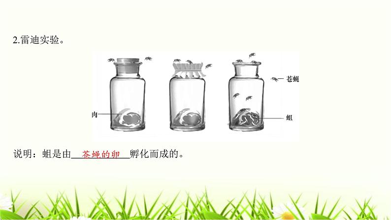 中考生物复习第21章生命的发生和发展课件第5页