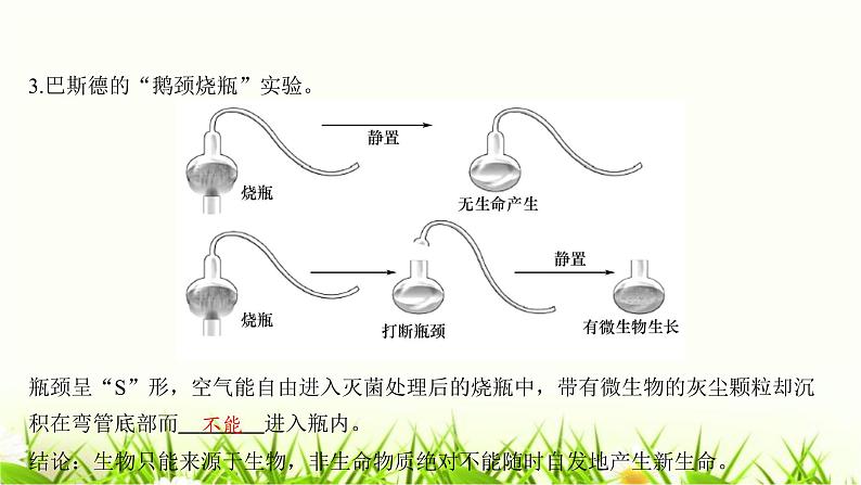 中考生物复习第21章生命的发生和发展课件第6页