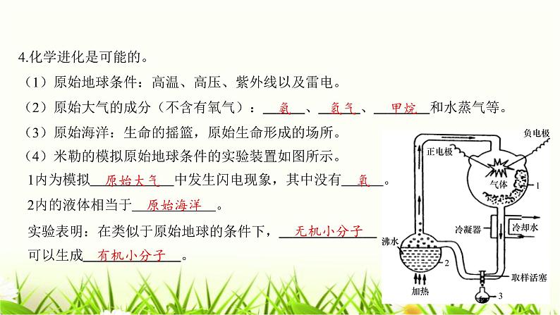 中考生物复习第21章生命的发生和发展课件第7页